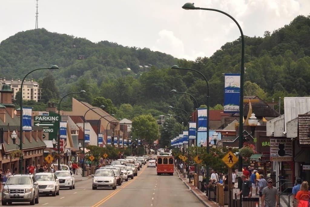 개틀린버그 A Smoky Mountains Retreat - Chalet De Montagne 빌라 외부 사진